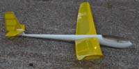 YellowHobie005