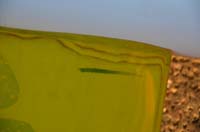 YellowHobie015
